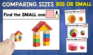 Big Small Sorting Activity