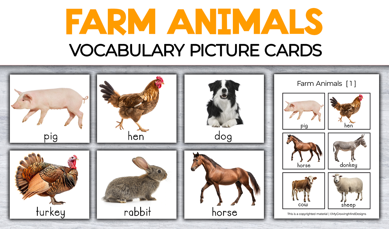 Farm Animals Picture Cards Flashcards