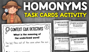 Homonyms Activity For 2 And 3 Grade