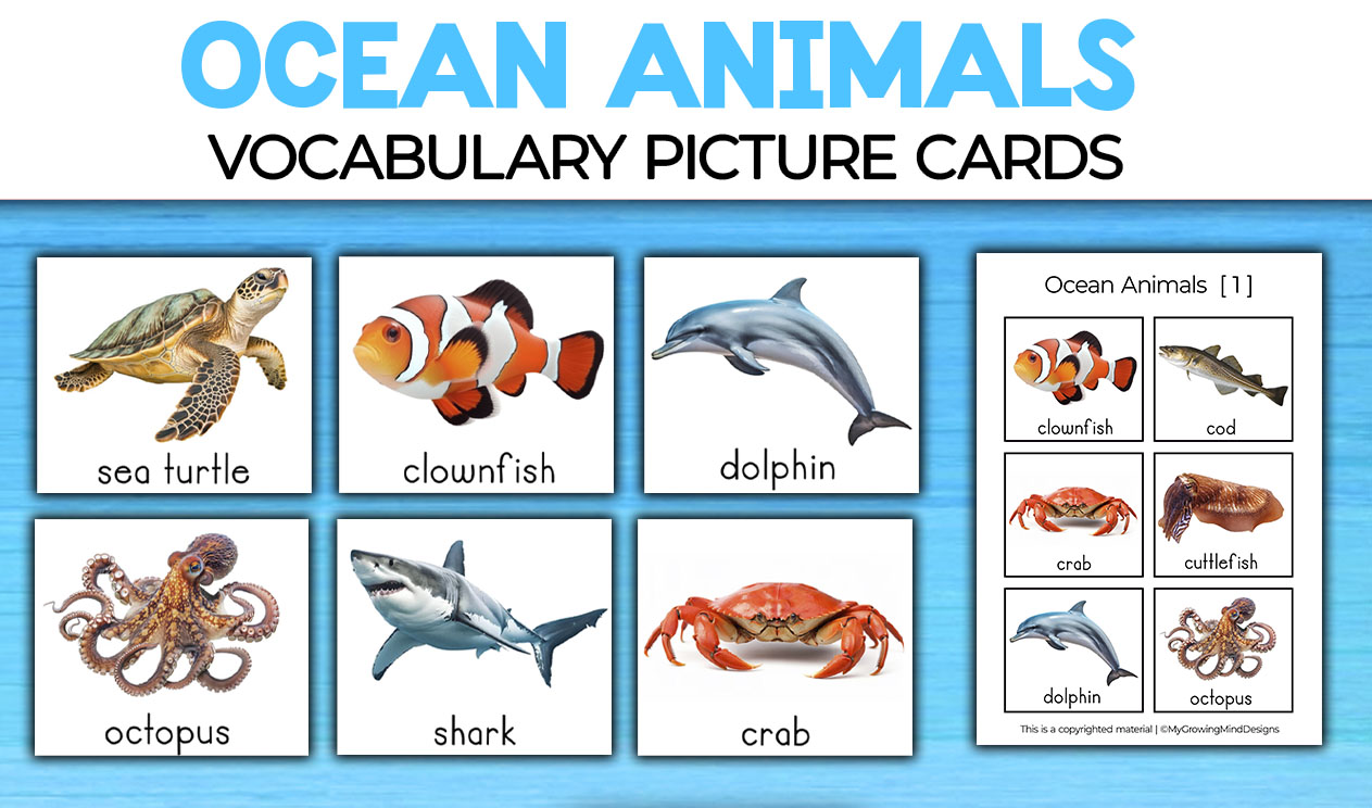 Ocean Animals Picture Cards Flashcards