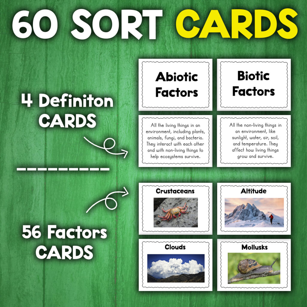 Biotic Abiotic Factors Activity