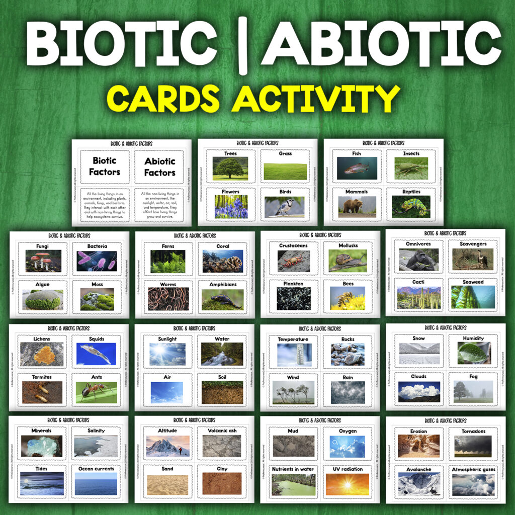 Biotic Abiotic Sort Cards Activity