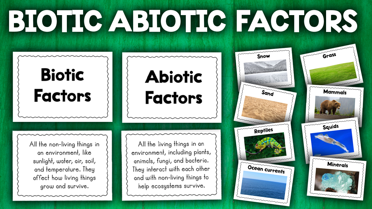 Biotic And Abiotic Factors Activity