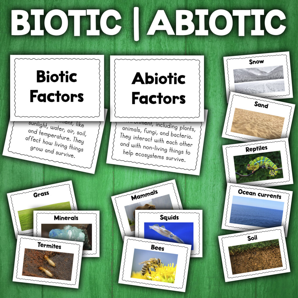 Biotic And Abiotic Factors Cards