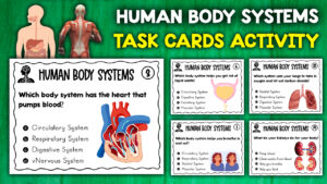 Human Body Systems Activity