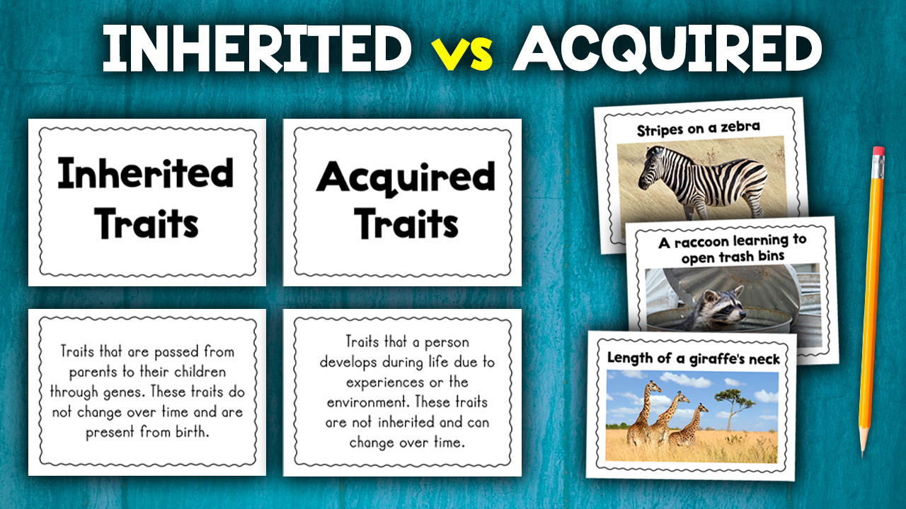 Acquired And Inherited Traits Activity